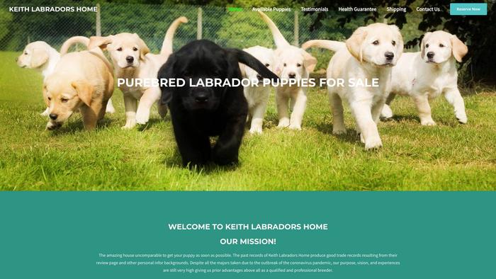 Keithlabradorshome.com - Labrador Puppy Scam Review