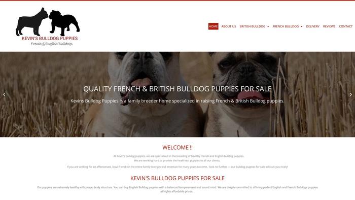 Kevinsbulldogpuppies.co.uk - Bulldog Puppy Scam Review