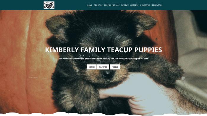 Kimberlyfamily.com - Yorkshire Terrier Puppy Scam Review