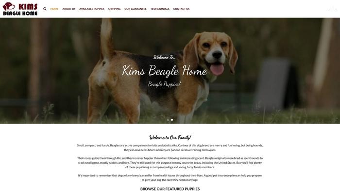 Kimsbeaglehome.com - Beagle Puppy Scam Review