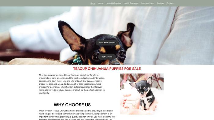 Kreptonchihuahuas.com - Chihuahua Puppy Scam Review