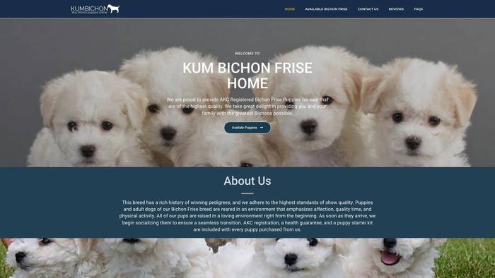 Kumbichonfrisehome.com - Bichon Frise Puppy Scam Review