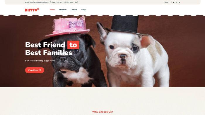 Kuttofrenchies.us - French Bulldog Puppy Scam Review