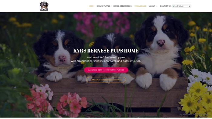 Kyrsbernesepupshome.com - Bernese Mountain Dog Puppy Scam Review