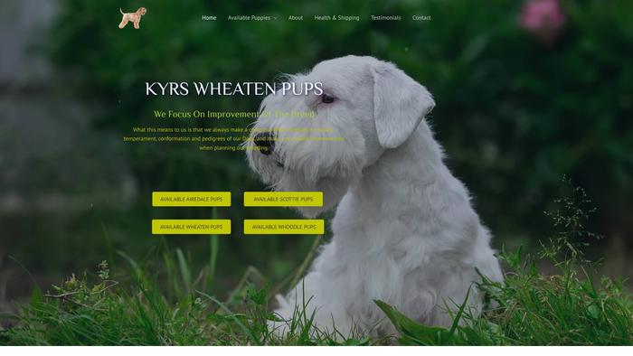 Kyrswheatenpuppies.com - Terrier Puppy Scam Review