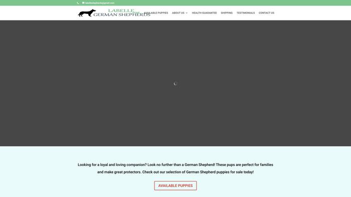 Labellegermanshepherds.com - Germanshepherd Puppy Scam Review