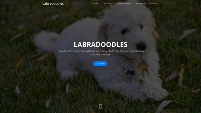 Labradoodledogs.site - Labradoodle Puppy Scam Review