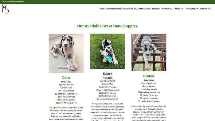 Leondanes.com - Great Dane Puppy Scam Review