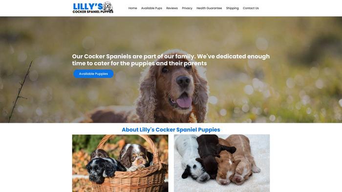 Lillyscockerspanielpuppies.com - Cockerspaniel Puppy Scam Review