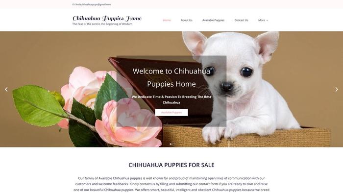 Lindachihuahuapupshome.com - Chihuahua Puppy Scam Review