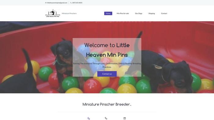 Litteheavenminpins.com - Doberman Pinscher Puppy Scam Review