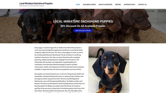 Localminidachshundpuppies.com - Dachshund Puppy Scam Review