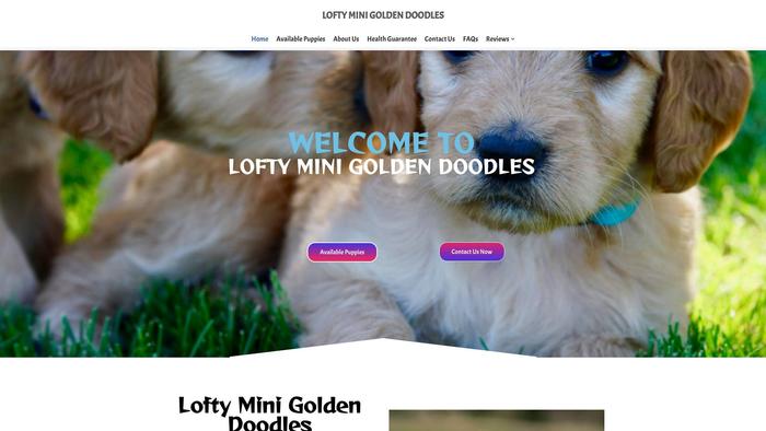 Loftyminigoldendoodles.com - Golden Doodle Puppy Scam Review