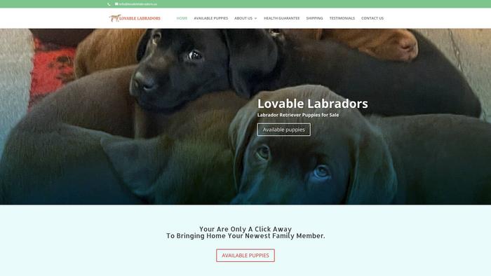 Lovablelabradors.us - Labrador Puppy Scam Review