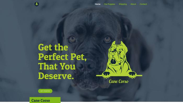 Lovelycanecorsos.com - Cane Corso Puppy Scam Review