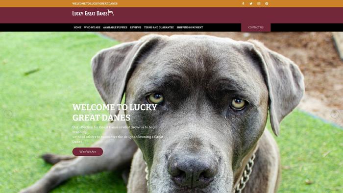 Luckygreatdanes.com - Great Dane Puppy Scam Review