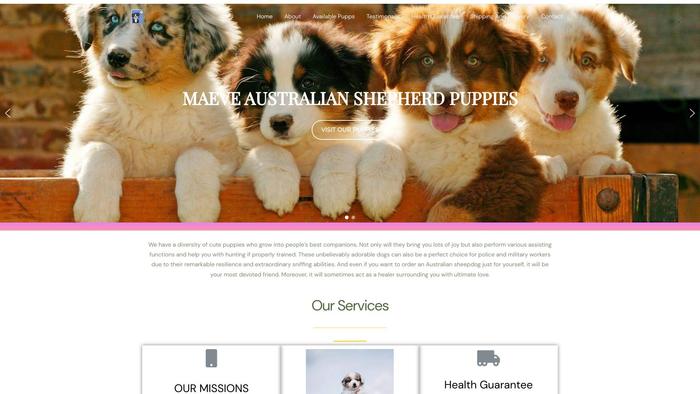 Maeveaustralianshepherdpuppies.com - Germanshepherd Puppy Scam Review