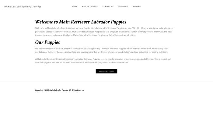 Mainelabradorpuppies.com - Labrador Puppy Scam Review