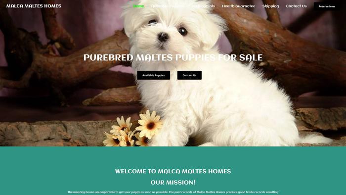 Malcamaltesshomes.com - Maltese Puppy Scam Review