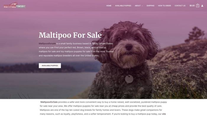 Maltipoosforsale.com - Maltipoo Puppy Scam Review