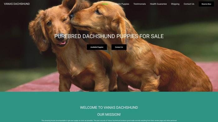 Mendrickdachshund.com - Dachshund Puppy Scam Review