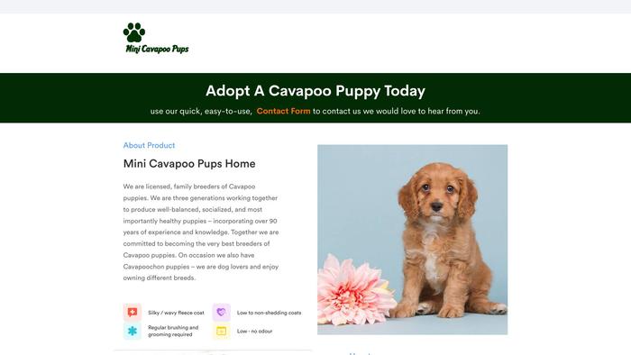 Minicavapoopups.com - Cavapoo Puppy Scam Review