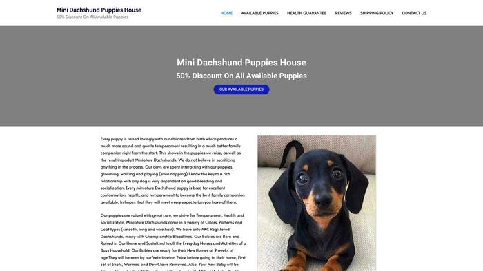 Minidachshundpuppieshouse.com - Dachshund Puppy Scam Review