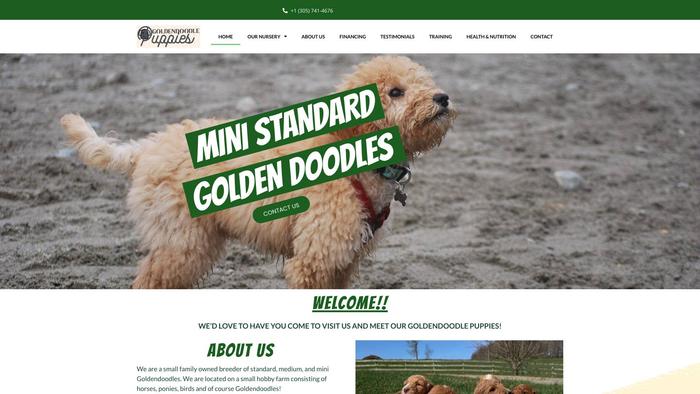 Ministandardgoldendoodlepuppies.com - Golden Doodle Puppy Scam Review