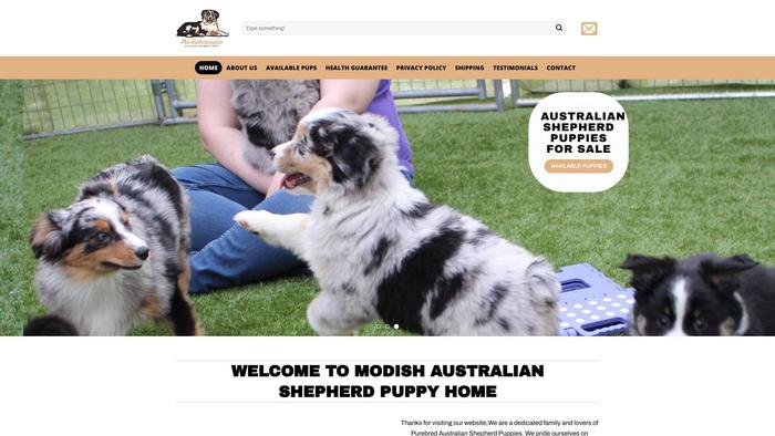 Modishaussie.com - Australian Shepherd Puppy Scam Review