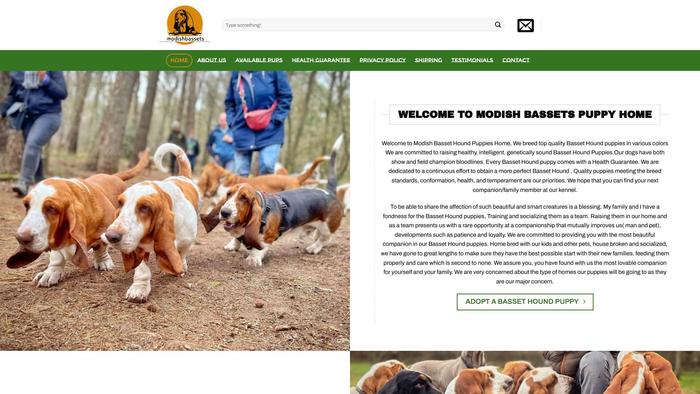 Modishbassets.com - Bassethound Puppy Scam Review