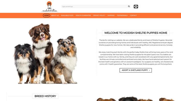 Modishshelties.com - Sheltie Puppy Scam Review