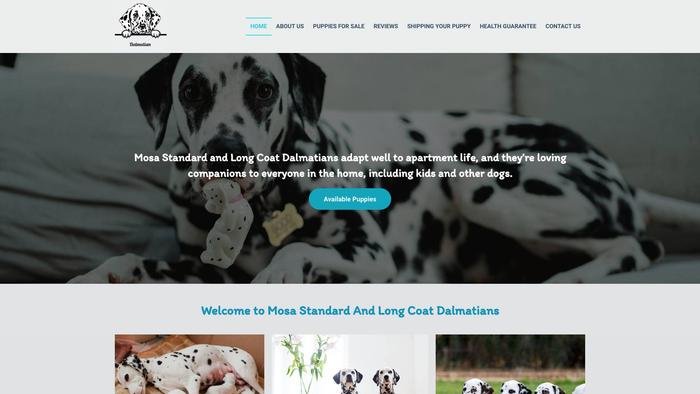 Mosastandardandlongcoatdalmatians.com - Labrador Puppy Scam Review