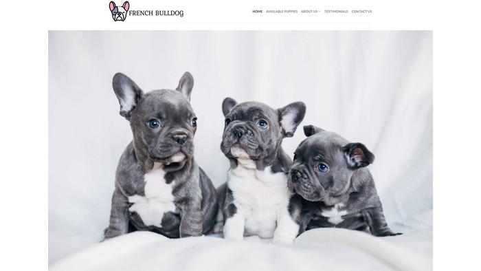 Myfrenchbullie.com - French Bulldog Puppy Scam Review