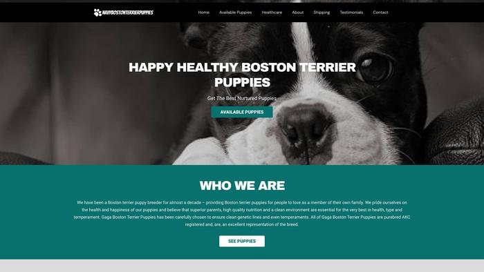 Navybostonterrierpuppies.com - Terrier Puppy Scam Review