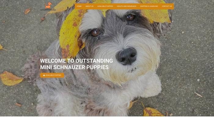 Outstandingschnauzers.com - Schnauzer Puppy Scam Review