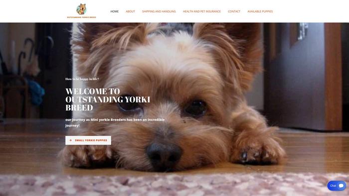 Outstandingyorkiebreed.com - Yorkshire Terrier Puppy Scam Review