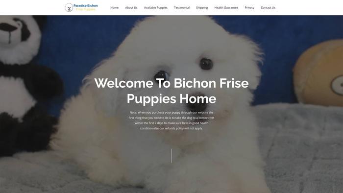 Paradisebichonfrisepuppies.com - Bichon Frise Puppy Scam Review