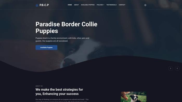 Paradisebordercolliepuppies.com - Bordercollie Puppy Scam Review