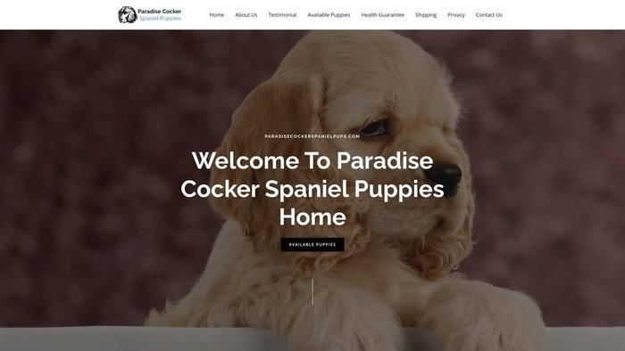 Paradisecockerspanielpups.com - Cockerspaniel Puppy Scam Review