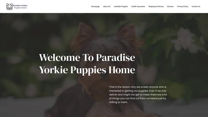 Paradiseyorkiespuppies.com - Yorkshire Terrier Puppy Scam Review