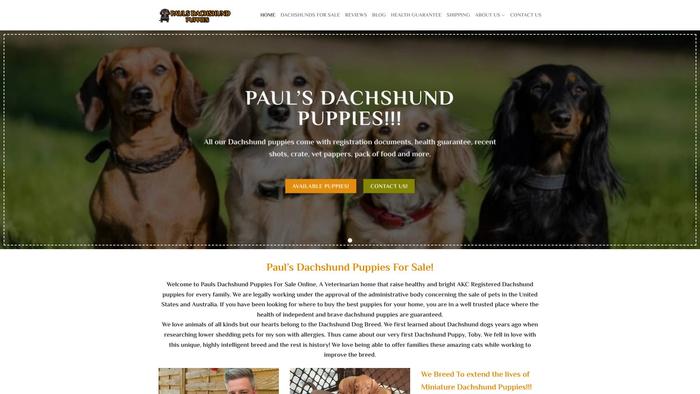 Paulsdachshundpuppies.com - Dachshund Puppy Scam Review