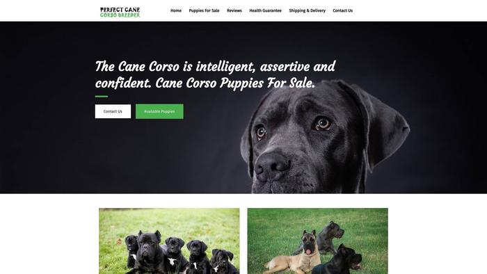 Perfectcanecorsobreeder.com - Cane Corso Puppy Scam Review