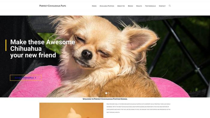 Perfectchihuahuahome.com - Chihuahua Puppy Scam Review