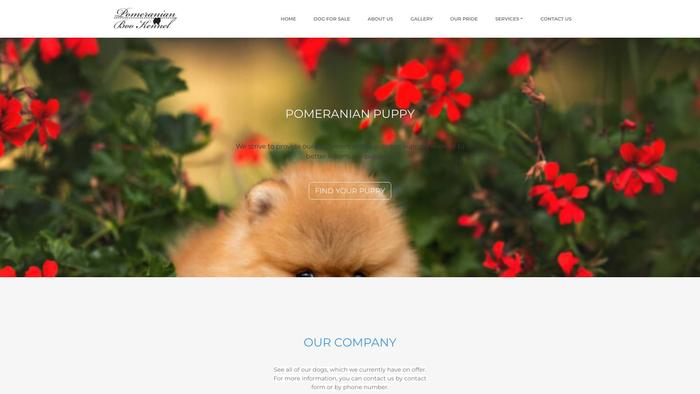 Pomeranianbokennel.com - Pomeranian Puppy Scam Review