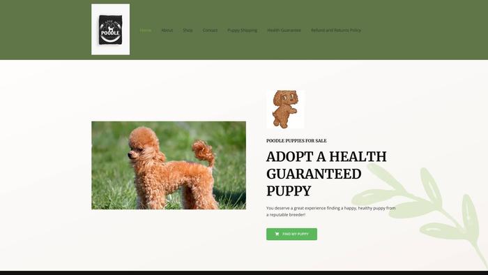 Poodleforadoption.com - Poodle Puppy Scam Review