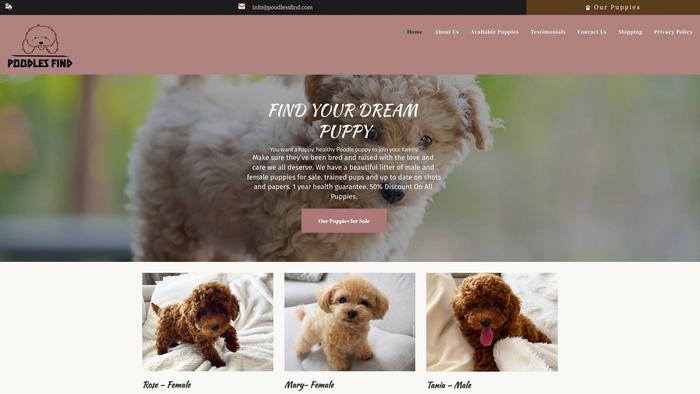 Poodlessfind.com - Poodle Puppy Scam Review