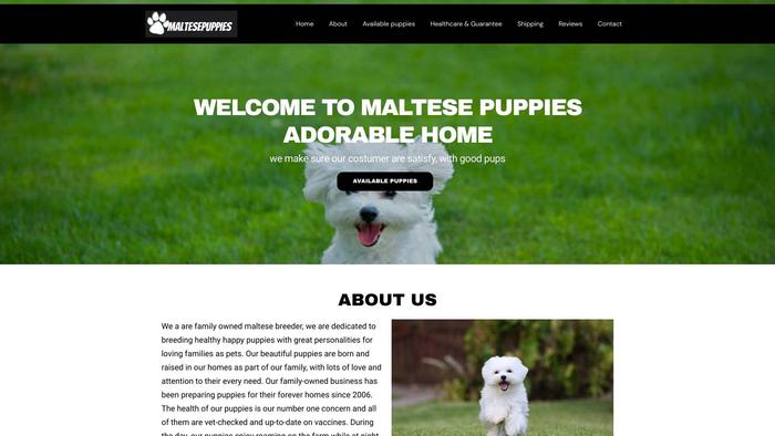 Preciousmaltesepupsforsale.com - Maltese Puppy Scam Review