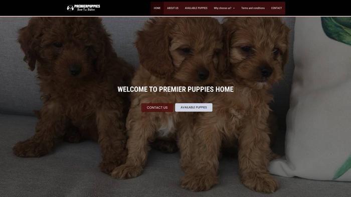 Premierepuppies.com - French Bulldog Puppy Scam Review