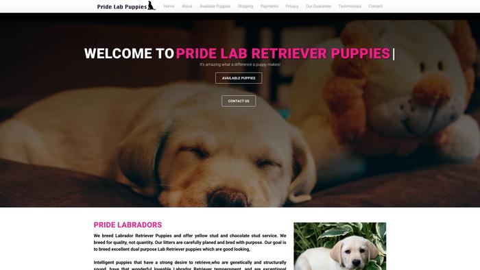 Pridelabpuppies.com - Labrador Puppy Scam Review