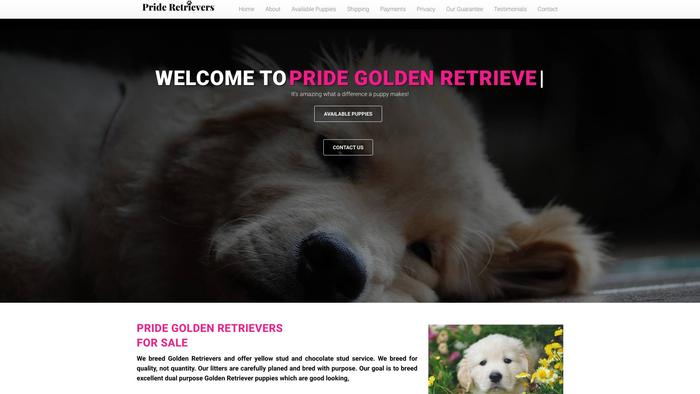 Prideretrievershome.com - Golden Retriever Puppy Scam Review